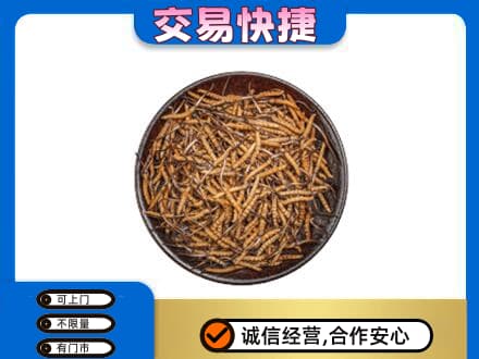 鸡西恒山区回收散虫草